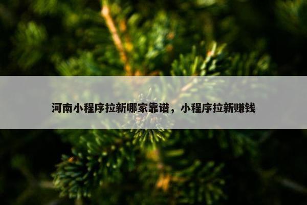 河南小程序拉新哪家靠谱，小程序拉新赚钱