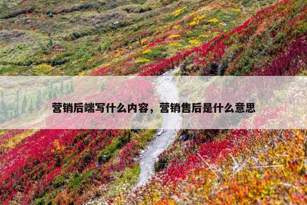 营销后端写什么内容，营销售后是什么意思