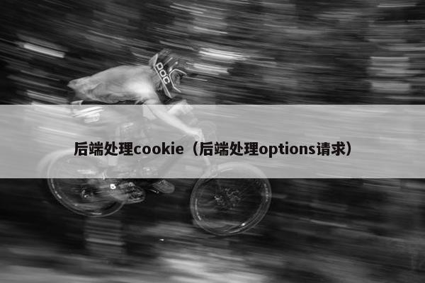 后端处理cookie（后端处理options请求）