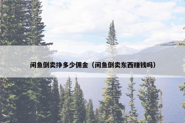 闲鱼倒卖挣多少佣金（闲鱼倒卖东西赚钱吗）
