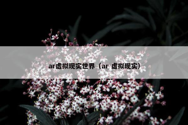 ar虚拟现实世界（ar 虚拟现实）
