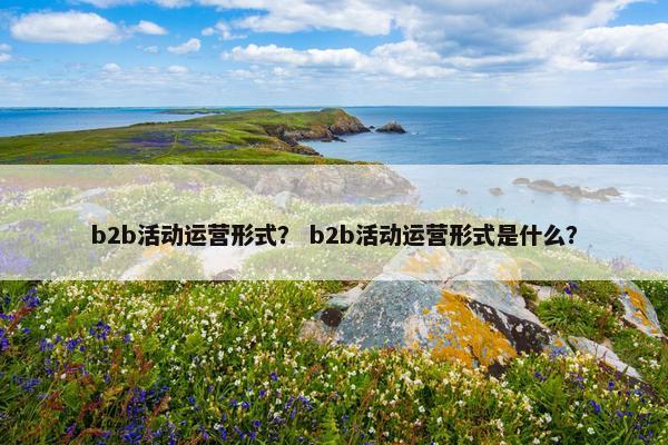 b2b活动运营形式？ b2b活动运营形式是什么？