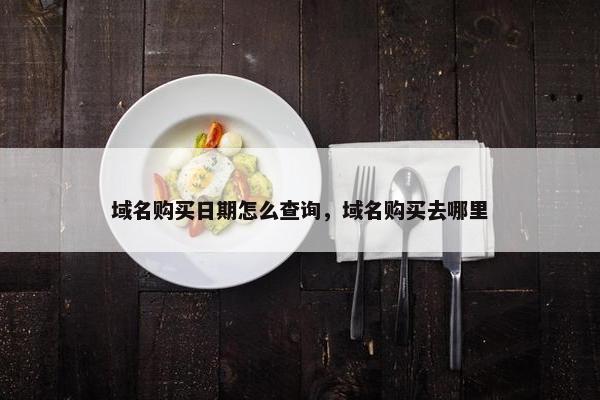 域名购买日期怎么查询，域名购买去哪里