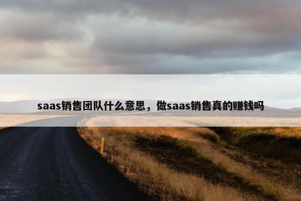 saas销售团队什么意思，做saas销售真的赚钱吗
