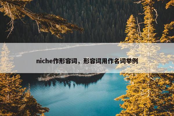 niche作形容词，形容词用作名词举例