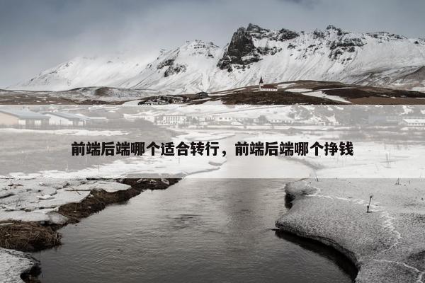 前端后端哪个适合转行，前端后端哪个挣钱