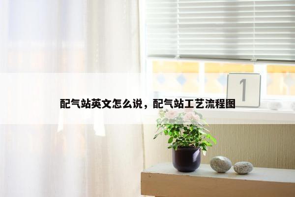 配气站英文怎么说，配气站工艺流程图