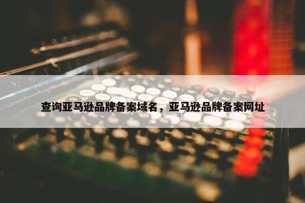 查询亚马逊品牌备案域名，亚马逊品牌备案网址