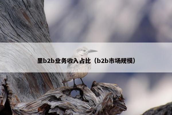里b2b业务收入占比（b2b市场规模）