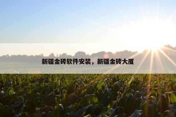 新疆金砖软件安装，新疆金砖大厦