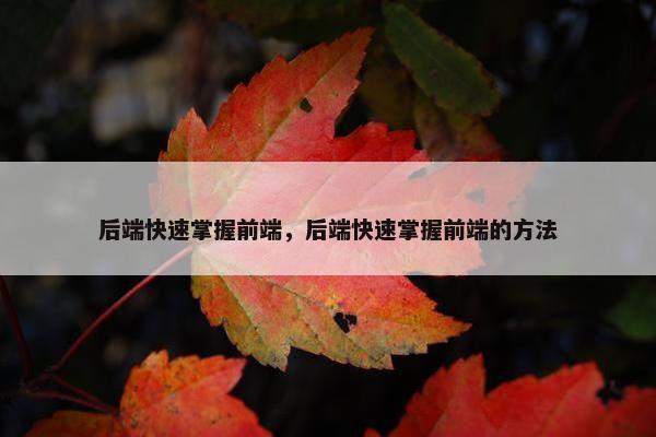 后端快速掌握前端，后端快速掌握前端的方法