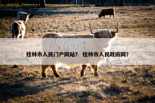 桂林市人民门户网站？ 桂林市人民政府网？