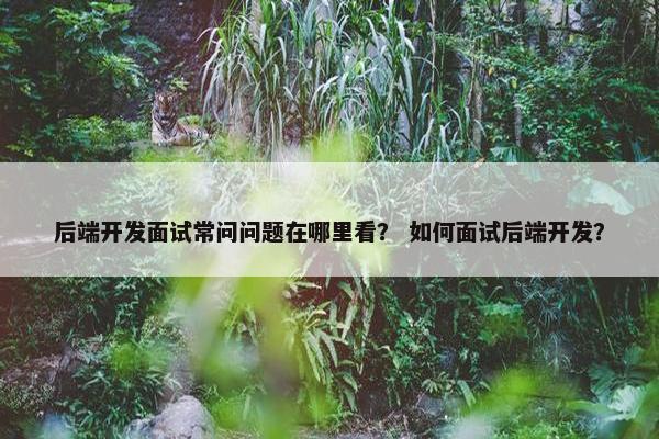 后端开发面试常问问题在哪里看？ 如何面试后端开发？