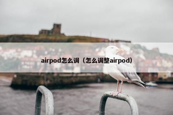 airpod怎么调（怎么调整airpod）