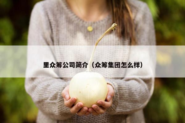 里众筹公司简介（众筹集团怎么样）