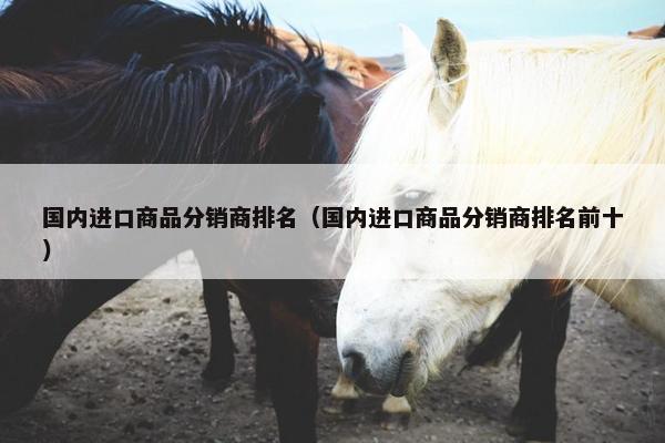 国内进口商品分销商排名（国内进口商品分销商排名前十）