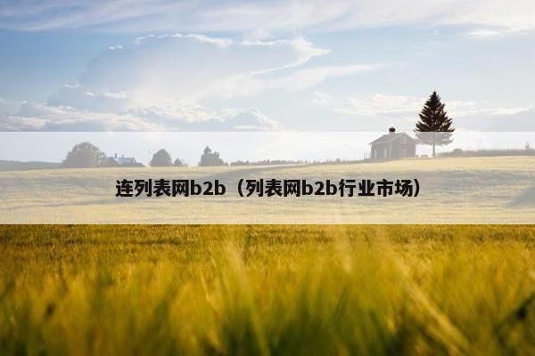 连列表网b2b（列表网b2b行业市场）