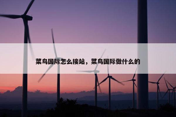 菜鸟国际怎么接站，菜鸟国际做什么的