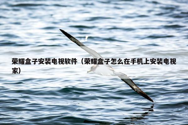 荣耀盒子安装电视软件（荣耀盒子怎么在手机上安装电视家）