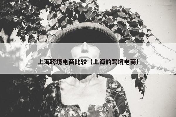 上海跨境电商比较（上海的跨境电商）