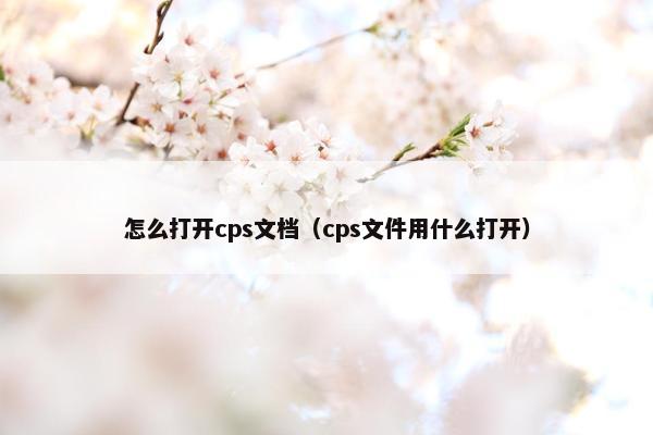 怎么打开cps文档（cps文件用什么打开）