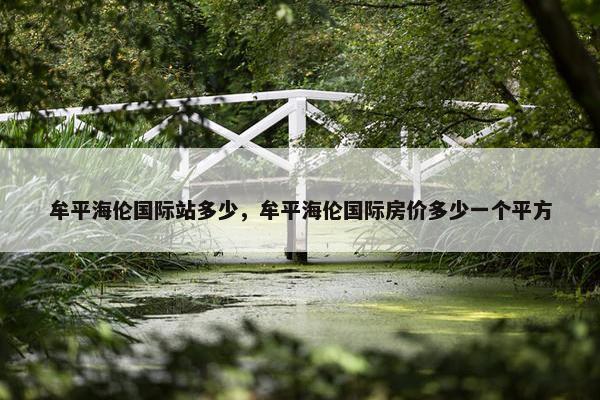 牟平海伦国际站多少，牟平海伦国际房价多少一个平方