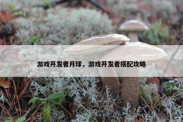 游戏开发者月球，游戏开发者搭配攻略