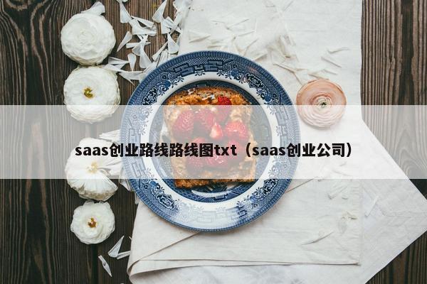 saas创业路线路线图txt（saas创业公司）