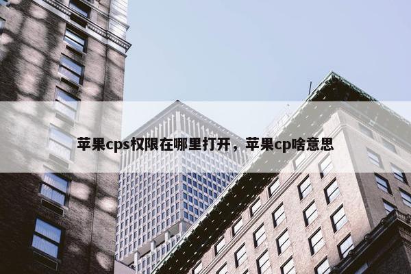 苹果cps权限在哪里打开，苹果cp啥意思