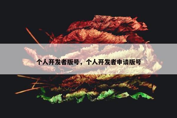 个人开发者版号，个人开发者申请版号