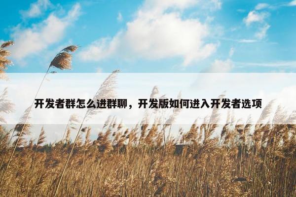 开发者群怎么进群聊，开发版如何进入开发者选项