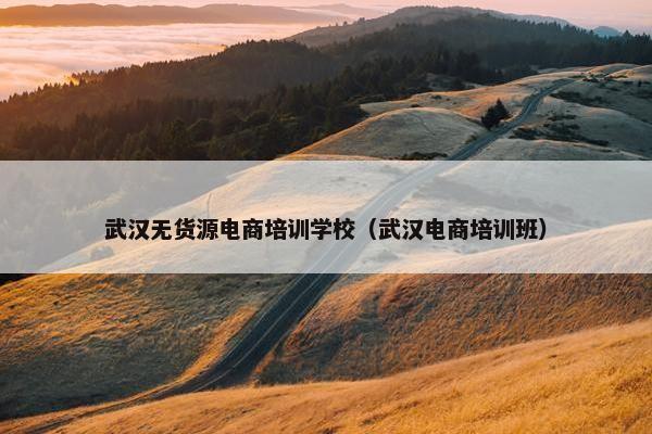 武汉无货源电商培训学校（武汉电商培训班）