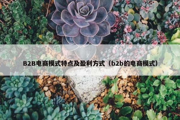 B2B电商模式特点及盈利方式（b2b的电商模式）