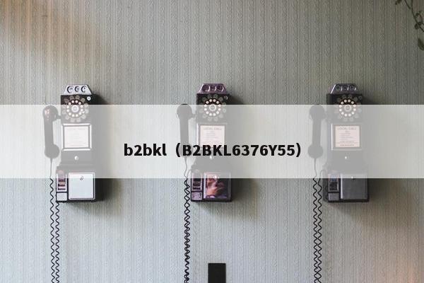 b2bkl（B2BKL6376Y55）