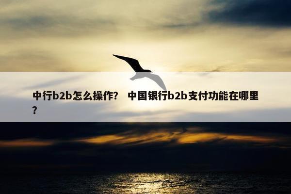 中行b2b怎么操作？ 中国银行b2b支付功能在哪里？