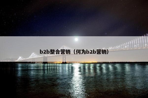 b2b整合营销（何为b2b营销）