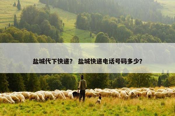 盐城代下快递？ 盐城快递电话号码多少？