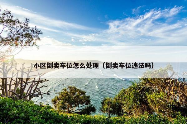 小区倒卖车位怎么处理（倒卖车位违法吗）