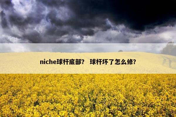 niche球杆底部？ 球杆坏了怎么修？