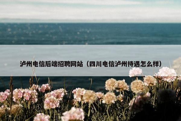 泸州电信后端招聘网站（四川电信泸州待遇怎么样）