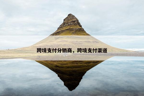 跨境支付分销商，跨境支付渠道
