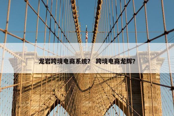 龙岩跨境电商系统？ 跨境电商龙辉？