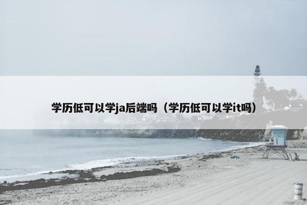 学历低可以学ja后端吗（学历低可以学it吗）