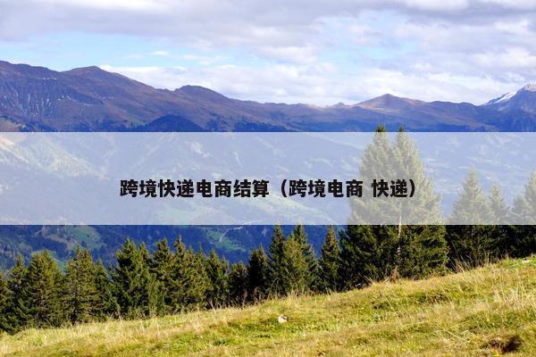 跨境快递电商结算（跨境电商 快递）