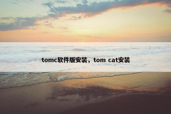 tomc软件版安装，tom cat安装