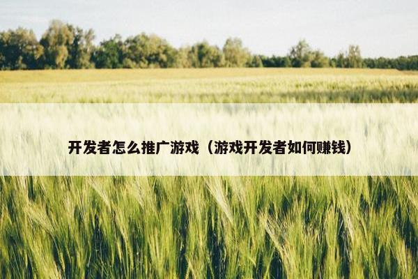 开发者怎么推广游戏（游戏开发者如何赚钱）