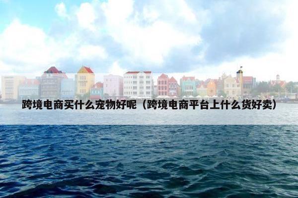 跨境电商买什么宠物好呢（跨境电商平台上什么货好卖）