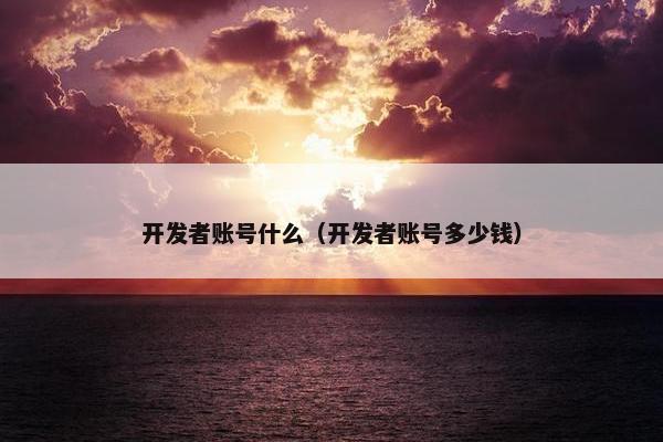 开发者账号什么（开发者账号多少钱）