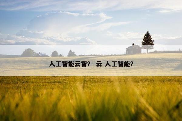 人工智能云智？ 云 人工智能？