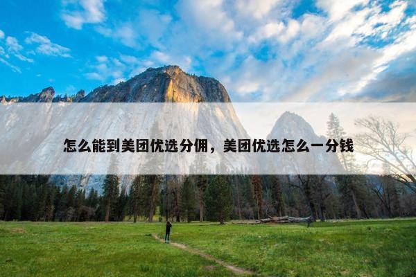 怎么能到美团优选分佣，美团优选怎么一分钱